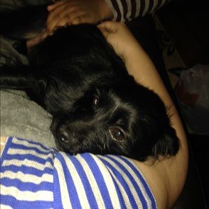 Meet your Posher, Natalie