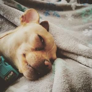 Meet your Posher, April