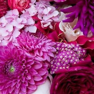 Meet your Posher, Michelle