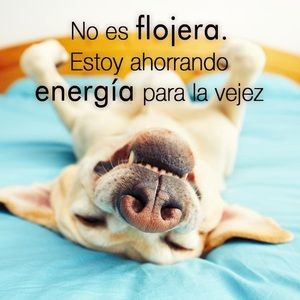 Meet your Posher, Micaela