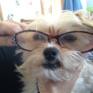 Meet your Posher, Roseann