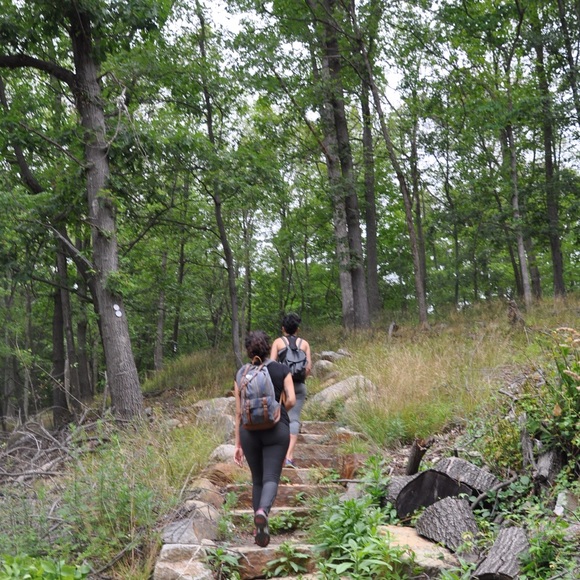 Meet your Posher, Dianne - Picture 3 of 7