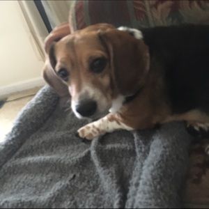 Meet your Posher, Cathy