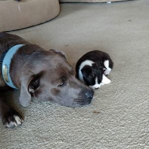 Meet your Posher, Letha