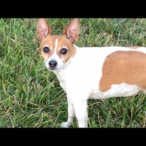 Meet your Posher, Shane