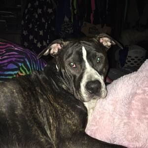 Meet your Posher, Marcie