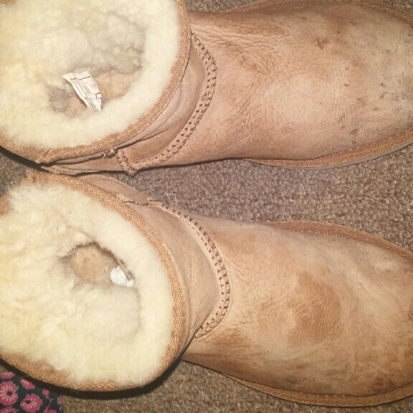 Uggs chestnut brown. /Tan