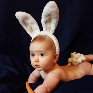 Meet your Posher, Sammy