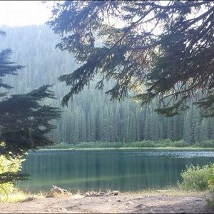 Meet your Posher, Sheana