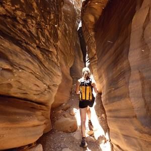 Meet your Posher, Hannah