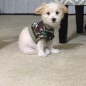 Meet your Posher, Michelle