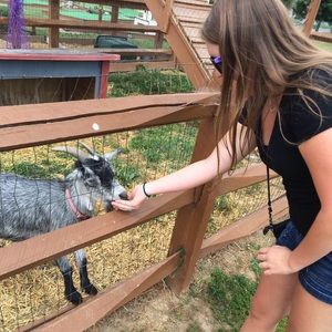 Meet your Posher, Elizabeth