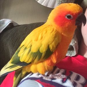 Meet your Posher, Jess