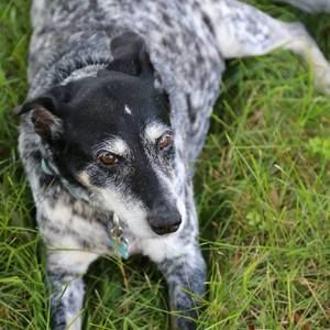 Meet your Posher, Carrie