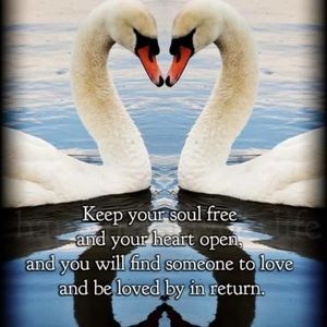 Meet your Posher, Carie