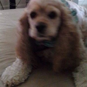 Meet your Posher, Kathryn