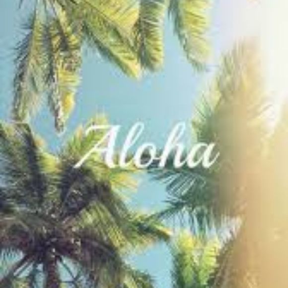 Meet your Posher, Sofia - Picture 1 of 1