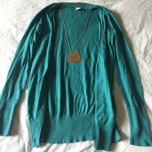 Blue Cardigan