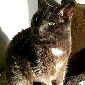 Meet your Posher, Sue