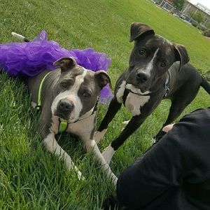 Meet your Posher, Tabitha