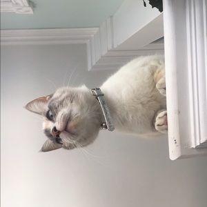 Meet your Posher, Catherine