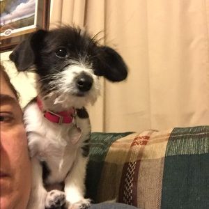 Meet your Posher, Tracy