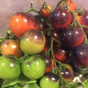 Meet your Posher, Sherri