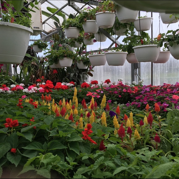 Meet your Posher, Aren - Picture 1 of 1