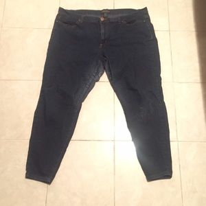 Plus Size Skinny Jeans