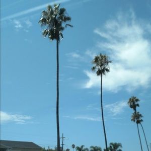 Meet your Posher, Cassandra