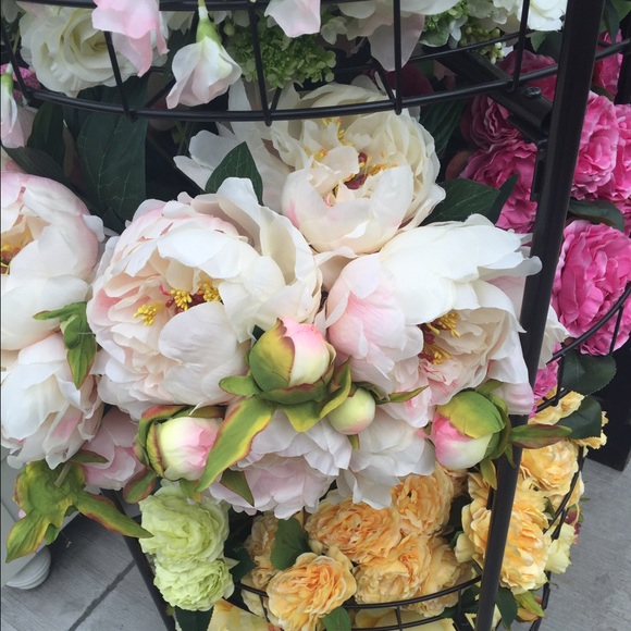 Meet your Posher, Emma - Picture 1 of 1