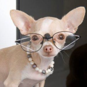 Meet your Posher, Beth