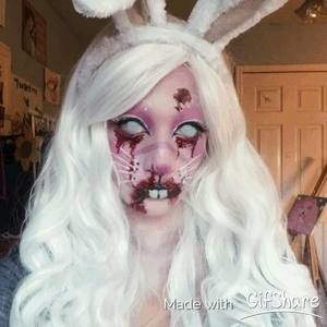 Meet your Posher, Daisy