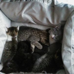 Meet your Posher, Anastasia