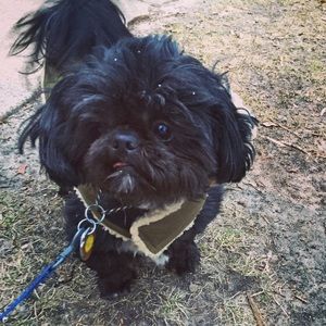 Meet your Posher, Cheryl