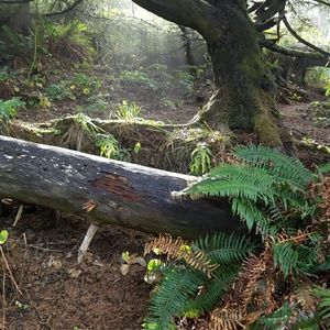 Meet your Posher, Shauna