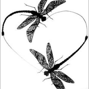 Meet your Posher, Connie