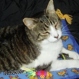 Meet your Posher, Erica