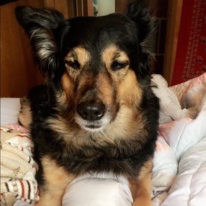 Meet your Posher, Tammy