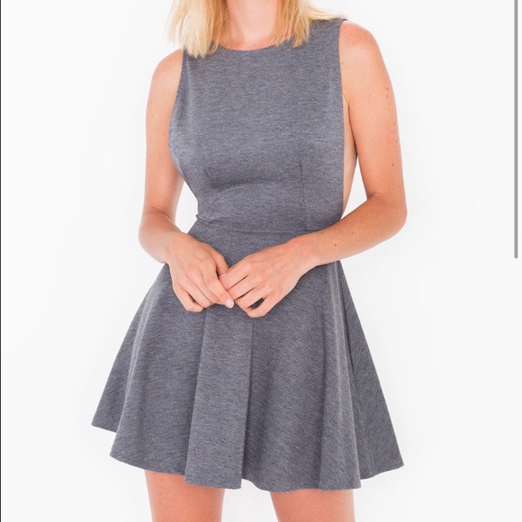 American Apparel Ponte Sleeveless Skater Dress