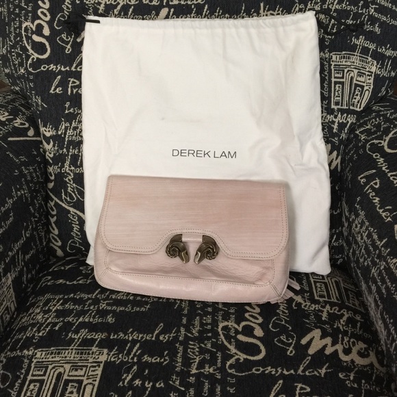 Brand new never used Derek Lam blush clutch