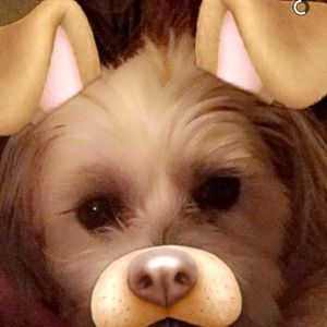 Meet your Posher, Lori