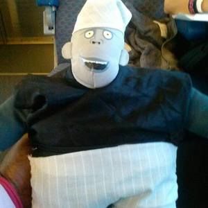 Meet your Posher, Rita