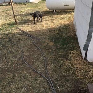 Meet your Posher, Ashton