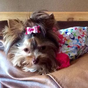 Meet your Posher, Becky