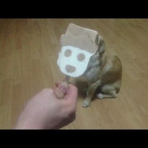 Meet your Posher, Meng