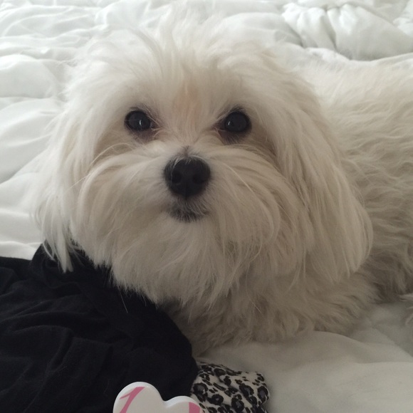 Meet your Posher, Kay