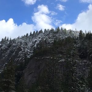 Meet your Posher, Diane