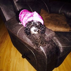 Meet your Posher, Britt