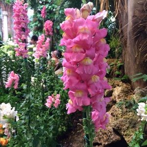 Meet your Posher, Alana